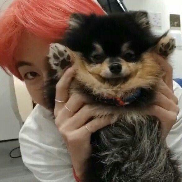 HeyIm_JC's tweet photo. @BTS_twt Im Full 😍 , Yeeeey !!! https://t.co/vtUzTIChv9