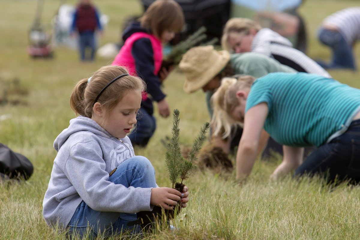 HondaCanada's tweet photo. We partner with organizations like Forest Recovery Canada to plant
trees, restore forests and help create Blue Skies for our Children and
wildlife across the country. #OneHondaOneTree for #WorldWildlifeDay https://t.co/OFw9dITfLC https://t.co/6iFHSkUgBx