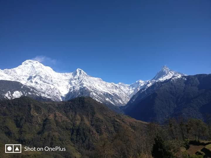 shaktitravel's tweet photo. Annapurna Base Camp Trekking
#Nepal #adventure #ITBBerlin #Kathmandu #Pokhara #Annapurna #Asia #cottom #satte #travel #shaktitravel #adventuretravelshow #luxurytravel #visitnepal2020 #nepaltrekking #nepdlluxurytrekking #nepalluxurytravel #nepal https://t.co/QrnsvhFHbm
