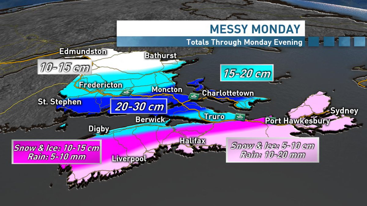 Ryan Snoddon tweet media