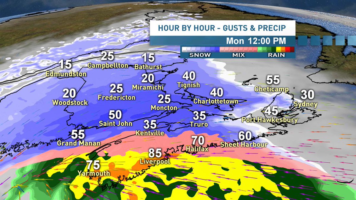 Ryan Snoddon tweet media