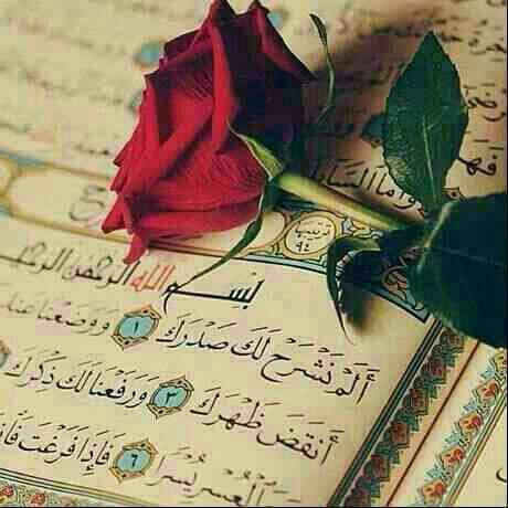 🌾 عـائــــشــــه🌾 tweet media