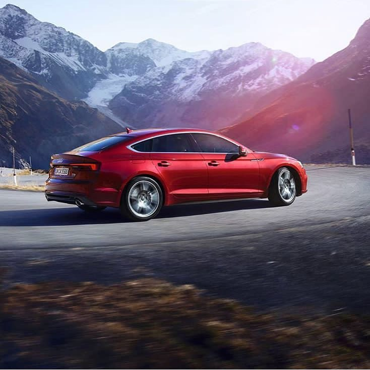 AudiJammu's tweet photo. Go from parked to peak, in seconds. #AudiS5 #OwnEverySecond
#AudiJammu Call 7006998671 https://t.co/qmNtRhW5SR