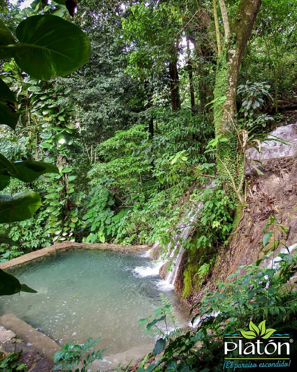 Platon Eco Lodge Platonecolodge Twitter