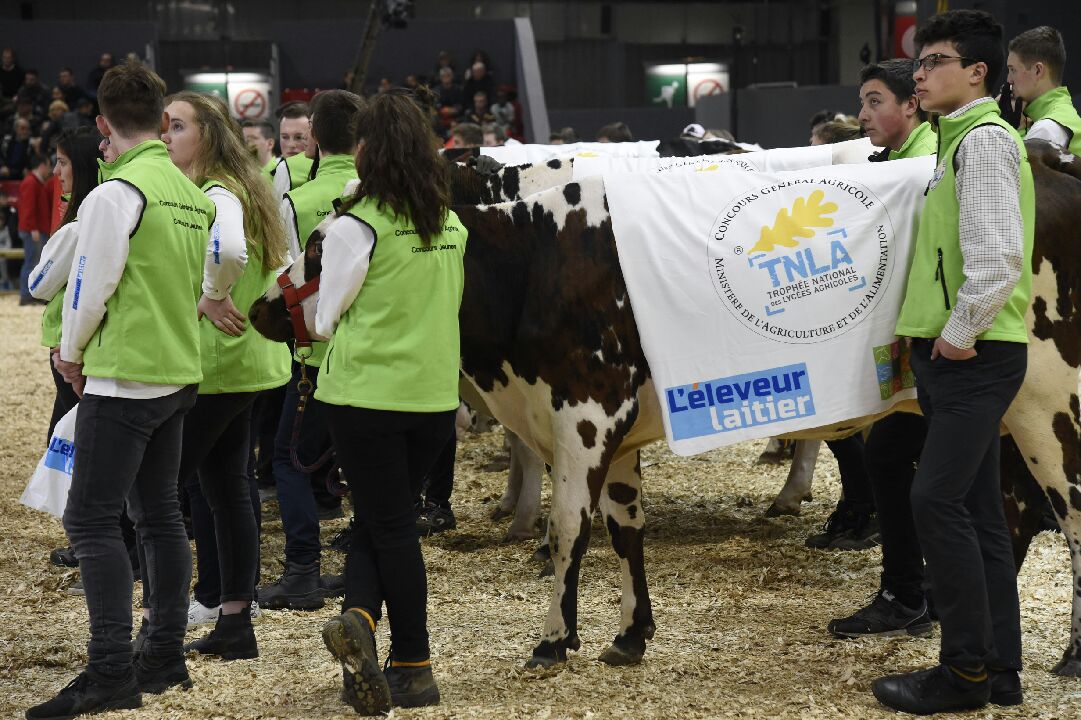 dguillaume26's tweet photo. #SIA2019 #positiveagriculture remise du trophée national des lycées agricoles ou l'excellence de la future génération d'éleveurs. Bravo au lycée agricole du robillard dans le calvados!  @TNLA @Min_Agriculture @cga_paris https://t.co/YvMVqQtrqI