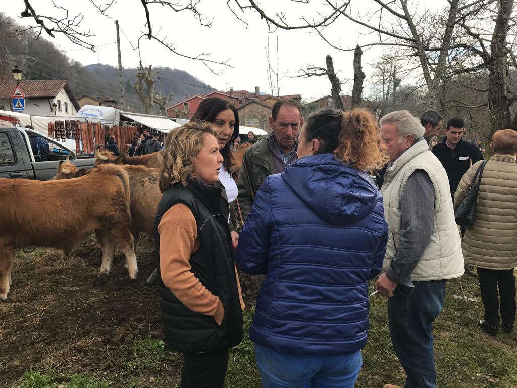 TereMalladaPP's tweet photo. ▶️Visitando la Feria ganadera de #Corao con compañeros de @PP_Asturias como el alcalde de Cangas de Onís, José Manuel González, la diputada @GomezMariafe y otros cargos del partido. 
SIN GANADEROS NO HAY PARAÍSO NATURAL https://t.co/8RNRB5TqOl