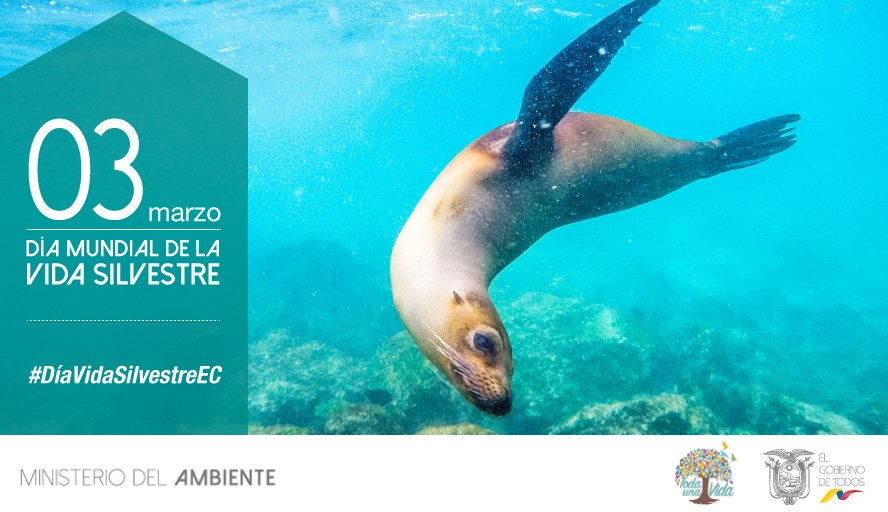 parquegalapagos's tweet photo. En Ecuador existen 14 puestos fijos de control forestal y de vida silvestre, para prevenir su tráfico ilegal. #DíaVidaSilvestreEC https://t.co/e4TcLff9bw