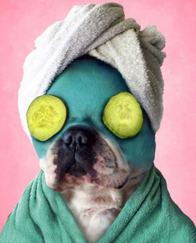 voloom's tweet photo. It's a mask &amp; chill kinda day. #SelfCareSunday // @agelessashley https://t.co/YohReKsP4D