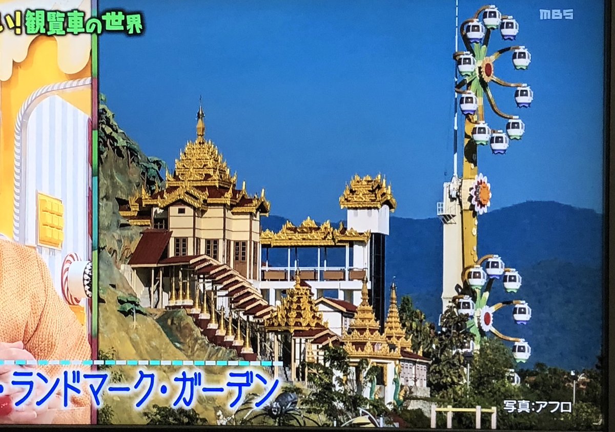 Ⴛ̅̀やਭみっけ✩*⋆⁎^-ω-^⁎⁎zZ乙✧ みっけちゃんの秘書は宝塚育ちで今