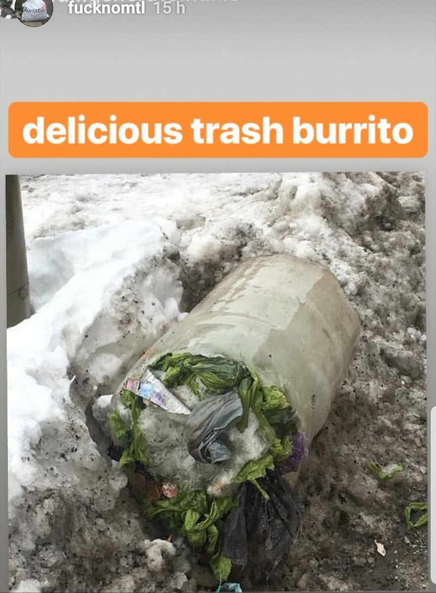 dianejess93's tweet image. Courtesy of #Fucknomtl #IceGate #GarbageGate #PolMtl #montreal