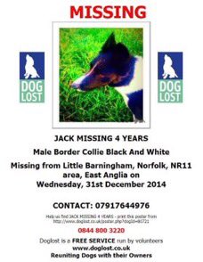 rosiedoc666's tweet photo. #findJack
MISSING FOUR YEARS spooked by #fireworks MALE blk&wh #bordercollie 31/12/14
WHERE IS HE NOW?
#LittleBarningham #Norfolk
@blacklab115 @miss_vertonghen @alid2912 @HunnyJax @Kazzy525 @DoglostUK @lisaphipps15 @DogTAGMids @PcsharonPage @sharonwrdl @BlueFrenchie1 https://t.co/fspnbpTLQo