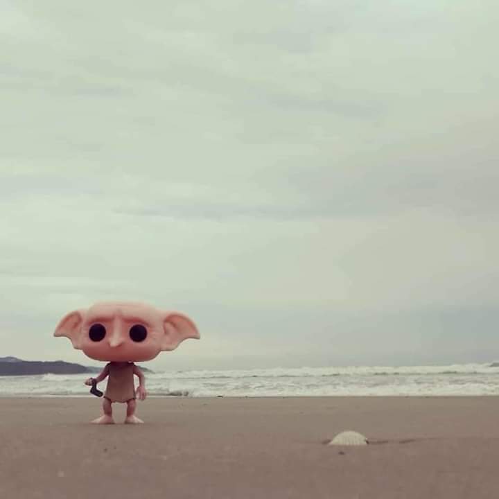 EiProfeta's tweet photo. "Qué lugar más bonito para estar con amigos. Dobby es feliz por estar con su amigo Harry Potter." https://t.co/owUDo9cong