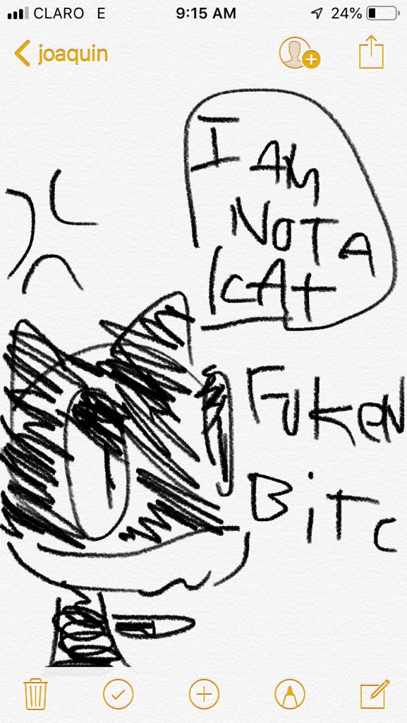 drawings i made with my finger inside a yatch 