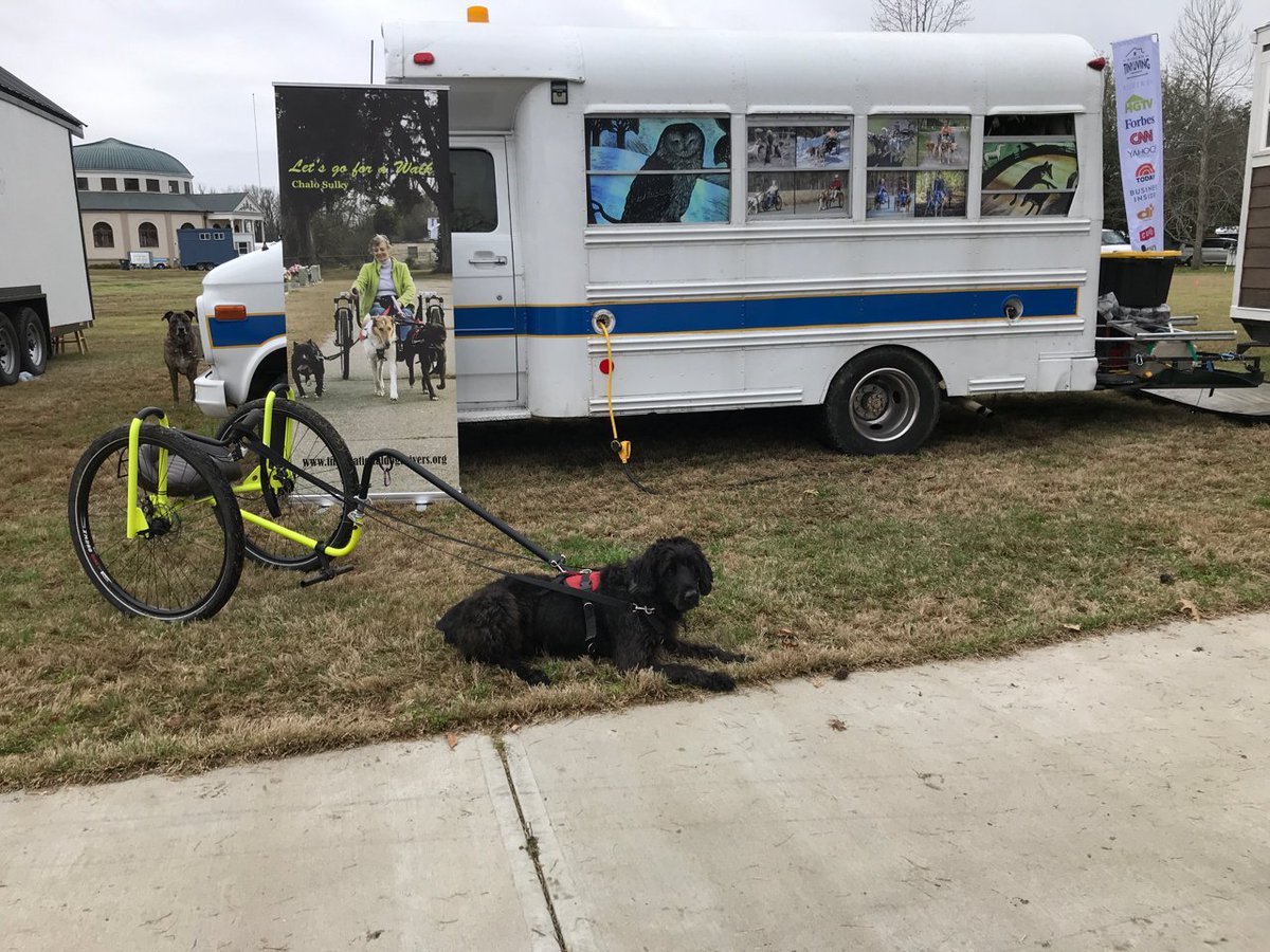 dog_association's tweet photo. We gave lots of sulky rides at the Tiny House event in Macon GA. Gina displayed her skoolie; Shaggy gave rides https://t.co/cAah7Wg2Vp