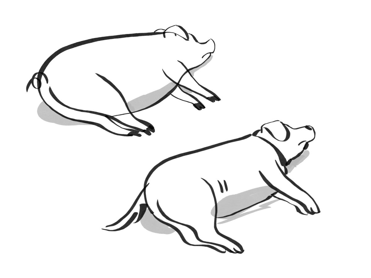 kallenchi's tweet image. I call this series, “Animals My Dog Looks Like”