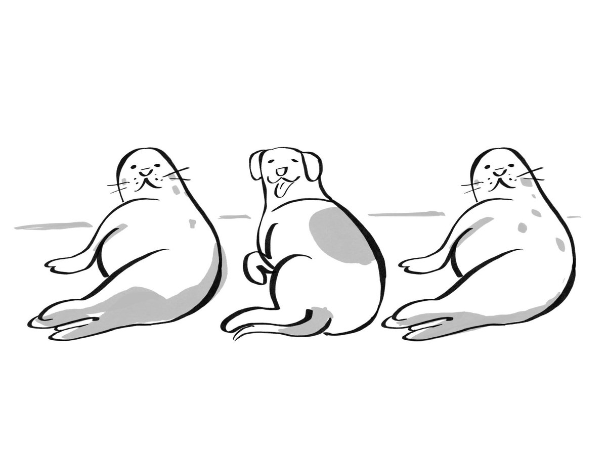 kallenchi's tweet image. I call this series, “Animals My Dog Looks Like”