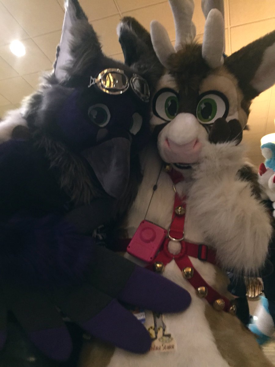 Blitzen_Bou's tweet photo. Back from @GatewayFurMeet #gfm2019 #gfm19 ! Had an absolute blast and huge thanks to all who made it wonderful. 💕 https://t.co/T8cCtsAV1T