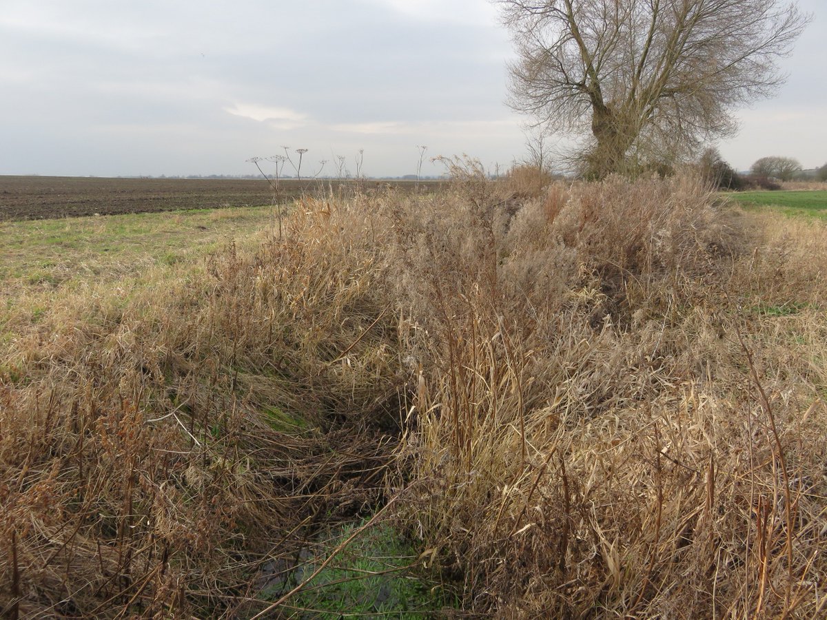 jonathanworking's tweet photo. @TheMERL Some sort of ditch... maybe in Hertfordshire? #DullCountrysideSnaps https://t.co/lk6EFZQmu0