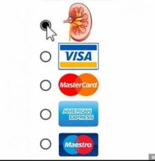 kata⭕rina tweet media