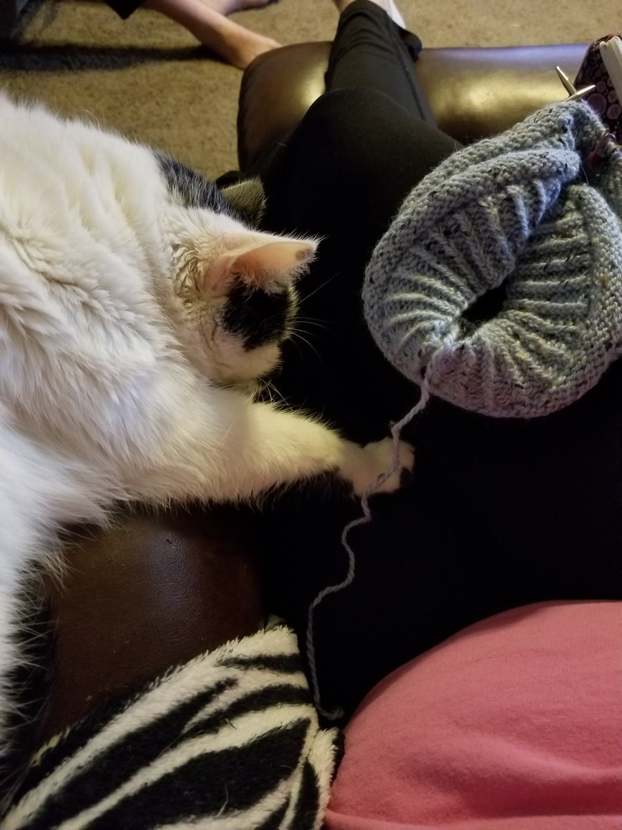 AngelaW1206's tweet photo. Knitting and kitty snuggles.. help Sunday! https://t.co/b5wtcLSMiK