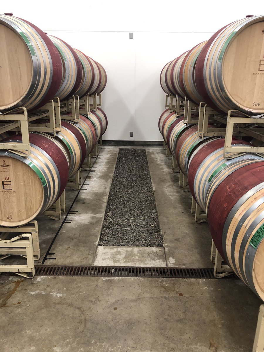 lrparkhill's tweet photo. Amazing tour yesterday with @Sarah_Stierch at @EmeritusWines - estate Pinot Noir at it’s finest. Even got to do a barrel tasting! https://t.co/L0cInLP8Bf