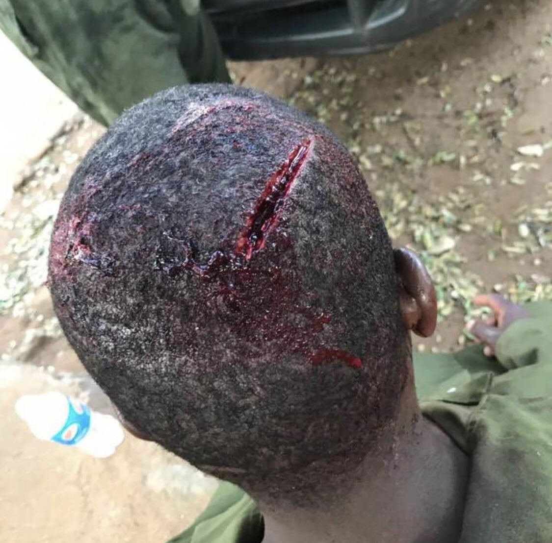 jackstooks's tweet image. #WorldWildlifeDay we need to stop poaching forever! Innocent people keep getting hurt protecting equally innocent animals