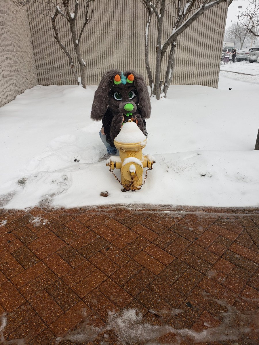 BigShotJuno's tweet photo. Juno has taken over ! >:)#GFM19 https://t.co/nIIBi3LJyo