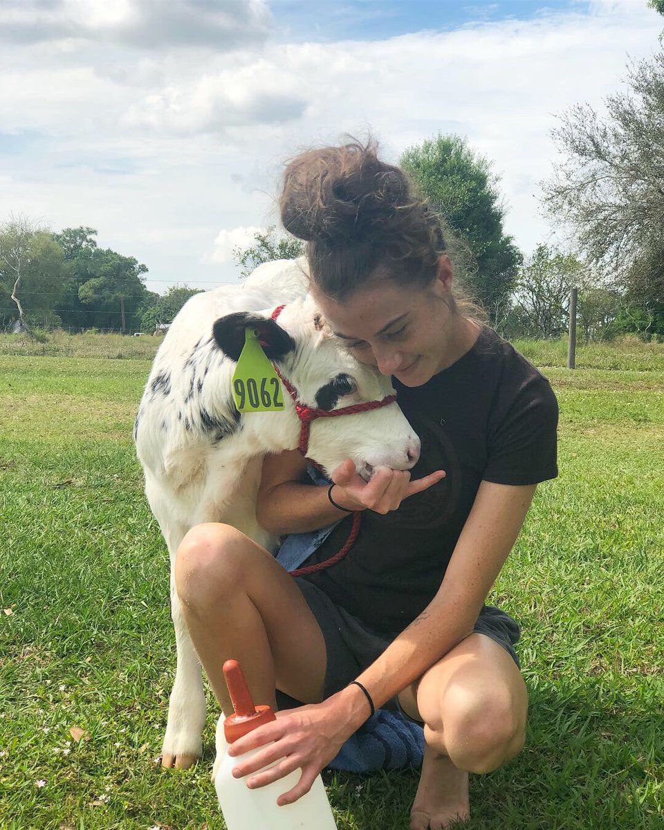 hiitaylorblake's tweet image. Delphi isn’t feeling well, everyone pls send good vibes and prayers her way!!