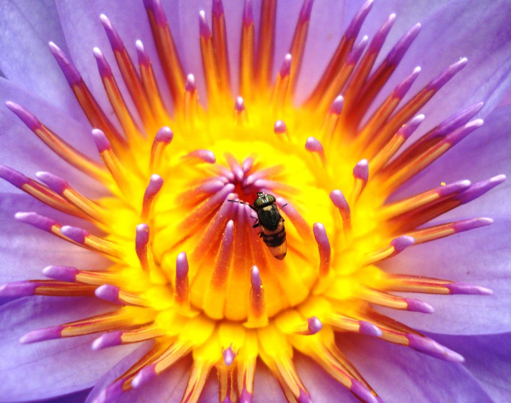 samfe7's tweet image. BE LIKE THIS