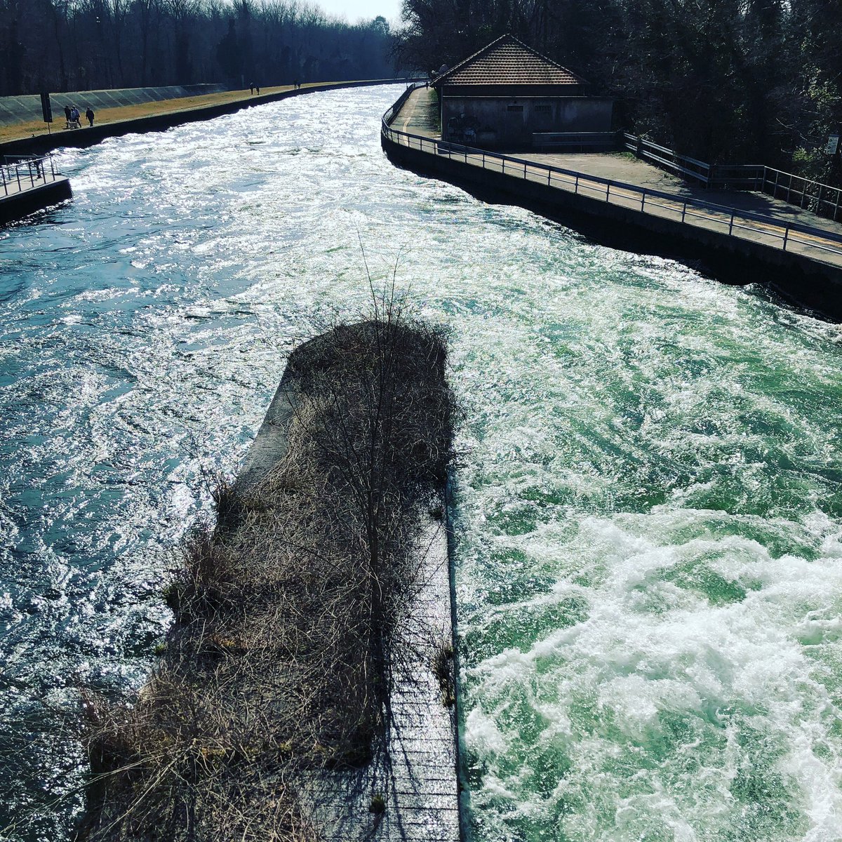 ciclopericoloso's tweet photo. Oggi 160 km lungo l’acqua: naviglio, Ticino, villoresi, lago maggiore. Milano/sesto Calende - sosta al bellissimo Bike Hotel alla ex dogana del #panperduto #ciclismi #sundaytraining https://t.co/6k6rf7n2Ta