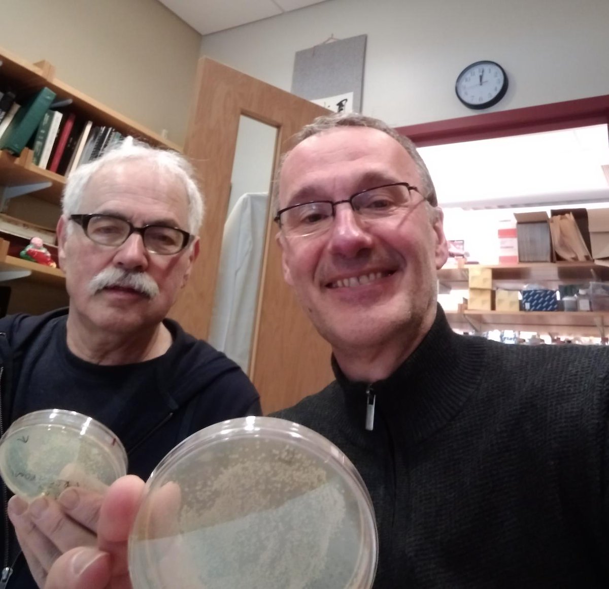 Filloux lab tweet media