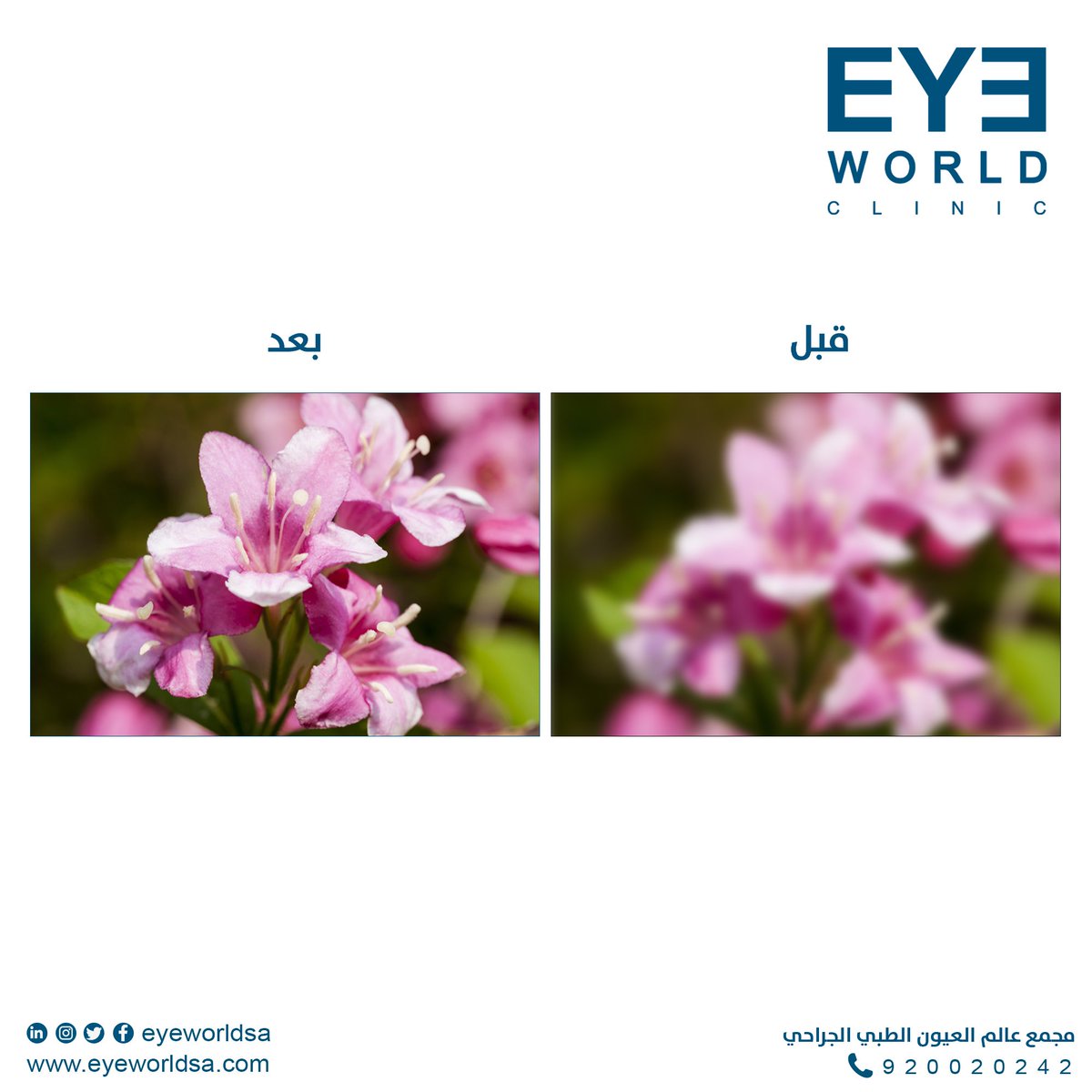eyeworldsa tweet picture