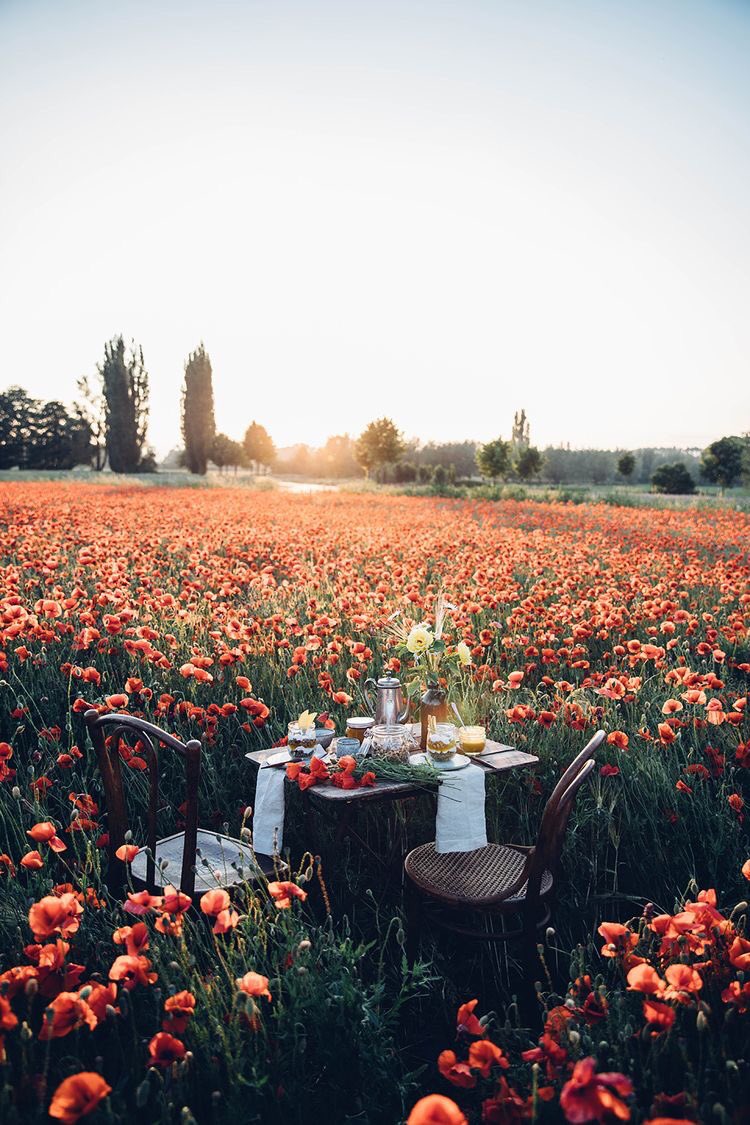 llncai's tweet photo. بحاجة لجلسات كهذه 🍂 https://t.co/6wM6BpbJ8J
