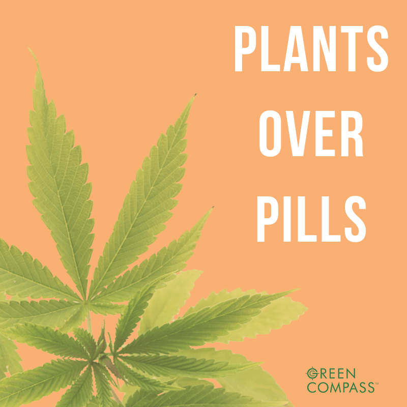 Yup! 🌱

#cbd #cbdoil #cbdlife #cbdmovement #cbdhealth #cbdbenefits #greencompass #greencompassglobal #plants