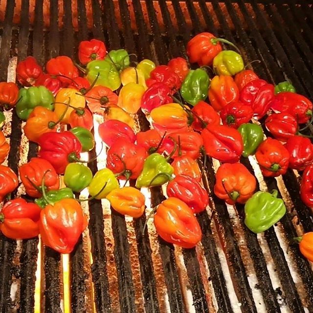 Things are heating up 🌱☀️ #countdowntosummer #endlesswinter #torontoeats #tacos #habanaros ift.tt/2EISsNP