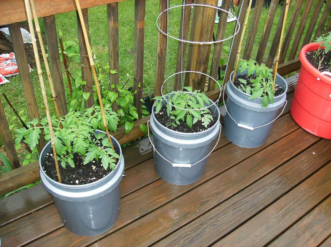 GrowPHX's tweet photo. No space for gardening?  #Grow a compact, high yield #container #garden in 5-gallon buckets #micro_farm #growfood https://t.co/O9fSMO4kOx https://t.co/ahZniOl1Nr