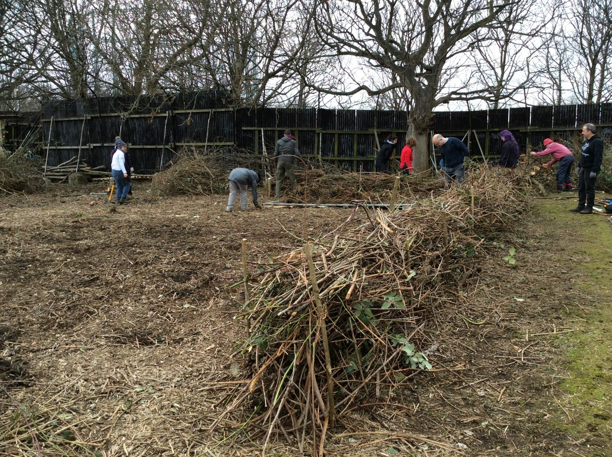 Huge thanks to amazing team from Lothians Conservation Volunteers today. Castle Corner now open  to the sunshine and some planting this season in the fertile loam #GrantonCastleGarden Back tomorrow 1-3pm hugel bed building and other things
