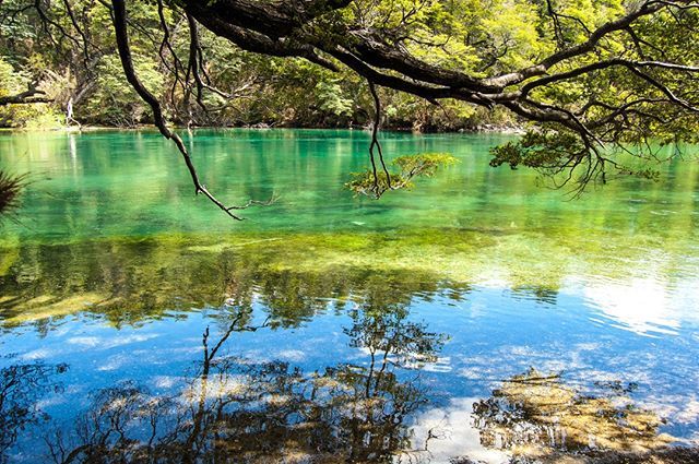 soerenvogelsang's tweet photo. Colors of Nature - - - Link zum Blog im Profil - - #nature #findyourpark #travel #nationalparks #explore #patagonia #argentina #chubut #incendio #almacennatural #losalerces #unesco #backpackistan #instatravel #travelgram #traveltheworld #solotravel #back… https://t.co/QOzWY9lSks https://t.co/x1mavbZ63N
