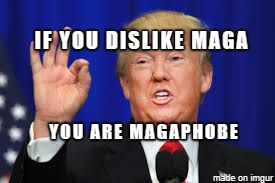 rightlystated's tweet photo. Speaking of PHOBIAs. The LEFT is delusional with Phobias.
If you are against securing the border, you must be a #WalloPHOBE
If you are against #MAGA you must be a #MAGAPHOBE
If you are against Christianity you must be a #ChristoPHOBE
The DEMS are full of fear of what is good‼️ https://t.co/jI6mVAoqNc