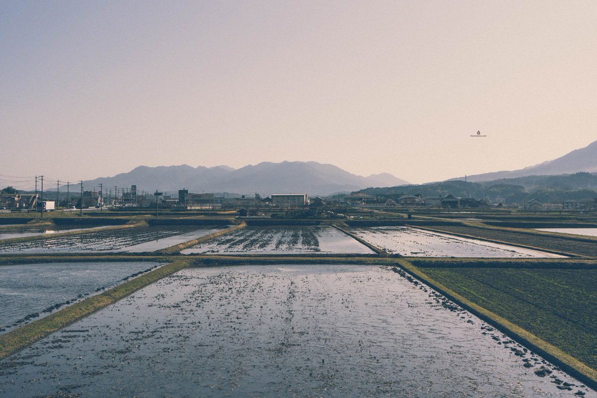 Waking up to this only begins to describe our trip to Iga and Shigaraki. 😍
#iga #ricefields #Japan <a href="/themintstory/">Anja Ben</a> <a href="/Visit_Japan/">Visit Japan</a> 

bit.ly/2BWNU4z
