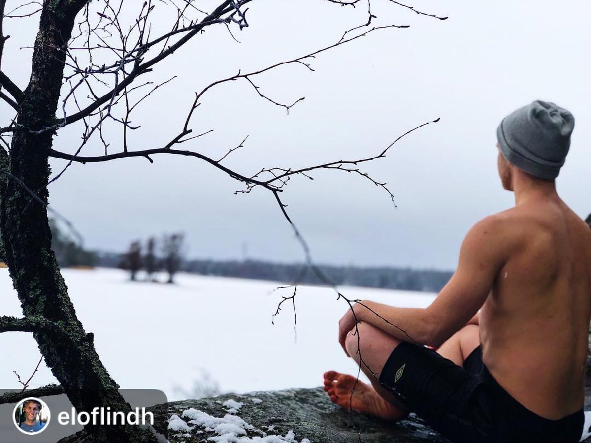 EcolivingSverige tweet media