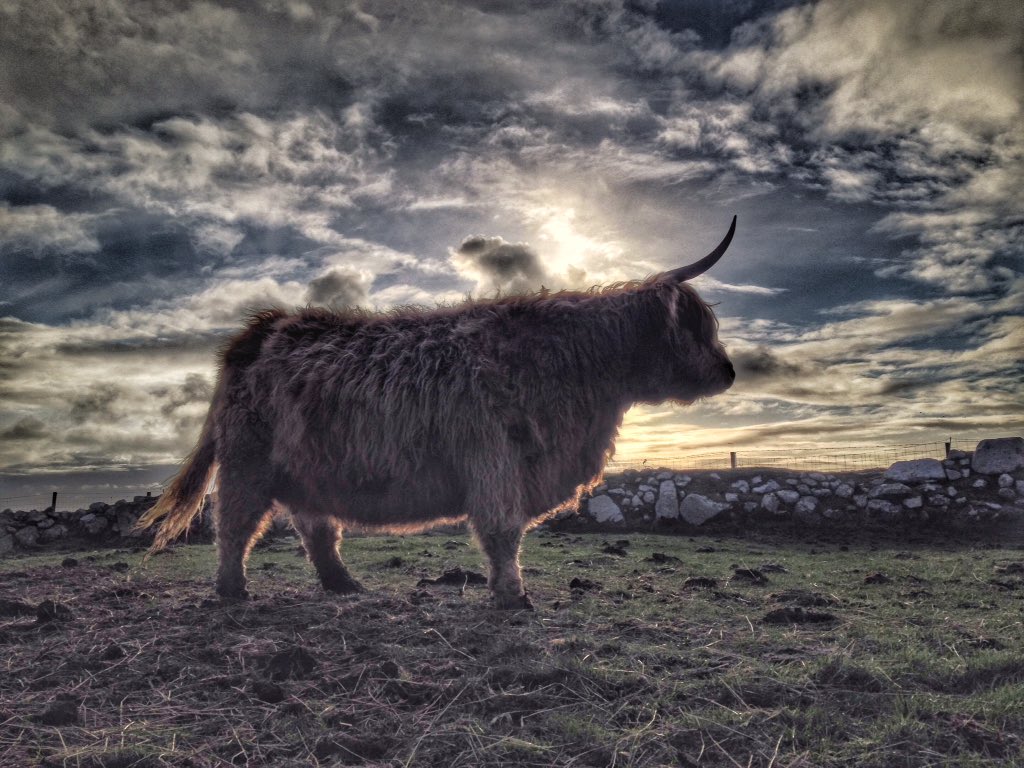 Sunsetsky this Evening 😍

@StormHour @IslesWeather @PicBallot @PicPublic @BestSunsetPhoto @photoweather1 @500pxrtg @BBCCountryfile @CloudAppSoc #Scotland #OuterHebrides #sunset