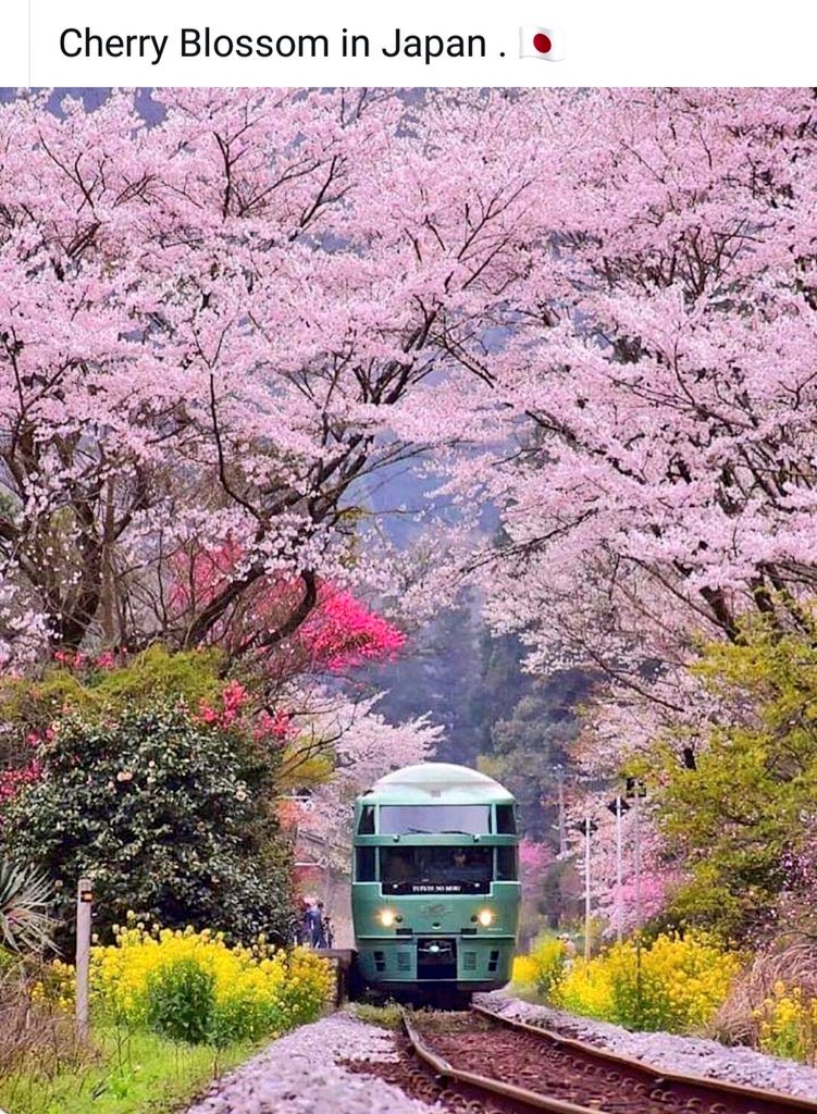 PureAlchemy0's tweet photo. I saw this beautiful image on FB today not sure who was the photographer but it brought back special memories of the time I lived there ..... even though I'm a fashion and textile designer it inspired me to study garden design and natural fragrance.. it's a magical place https://t.co/Qdsjt2jAl4