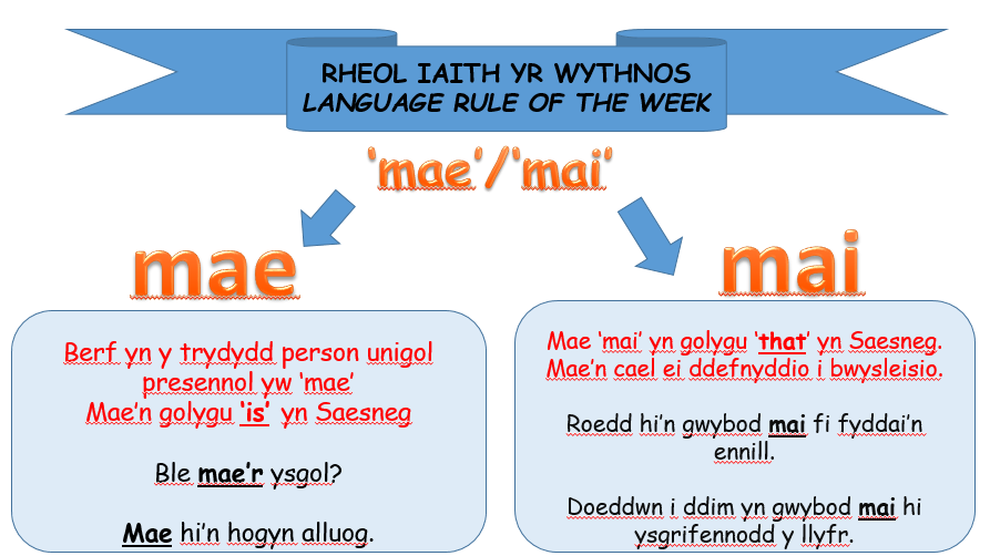 LlythBerwyn's tweet photo. RHEOL IAITH YR WYTHNOS: Gwahaniaethu rhwng 'mai' a 'mae' #llythrennedd #sgleinarysgiliau https://t.co/HP2dmwim6R
