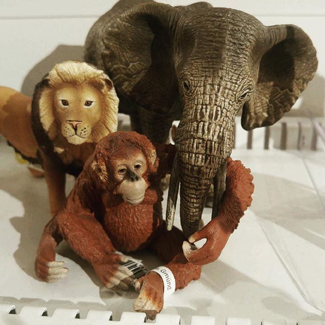 #ELEPHONKION is getting excited for #March21 at <a href="/houseoftarg/">House of TARG</a>!
.
.
#OttMusic #ottawa #music #TheBigTrainWreck #livemusic #livemusicottawa #LocalLove #packyourtrunk #roar #ooeeooee ift.tt/2VA4oHb