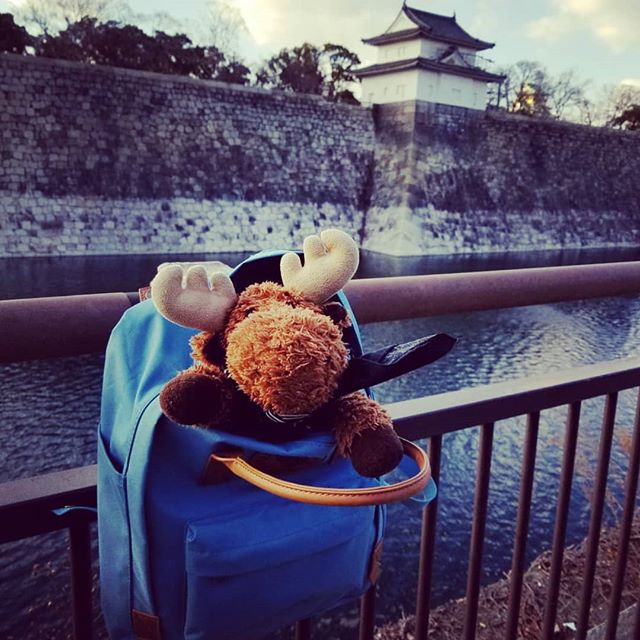 AuroraWorld's tweet photo. On a trip to Osaka @caboosethemoose19

#auroraworld #aurora #auroraplush #plush #plushies #plushtoys #toys #moose #stuffedanimals #cute #soft #adorable #stuffedtoys #flopsies #osaka #travel #journey #japan #backpacktravels https://t.co/lQzPiPlvwG