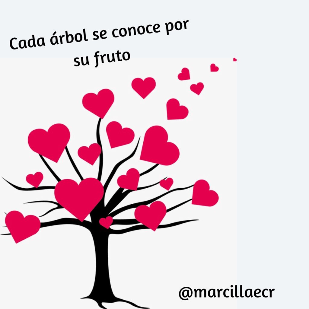 Mar Camargo (@marcamargo77) on Twitter photo 