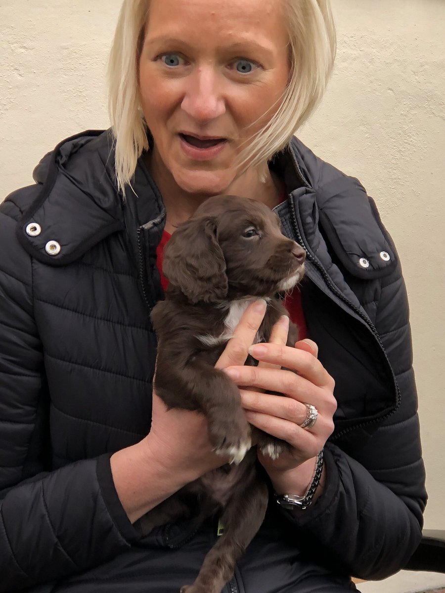 jachutton1's tweet photo. What, we can have him? #toffee ❤️ https://t.co/slrKMa85pA