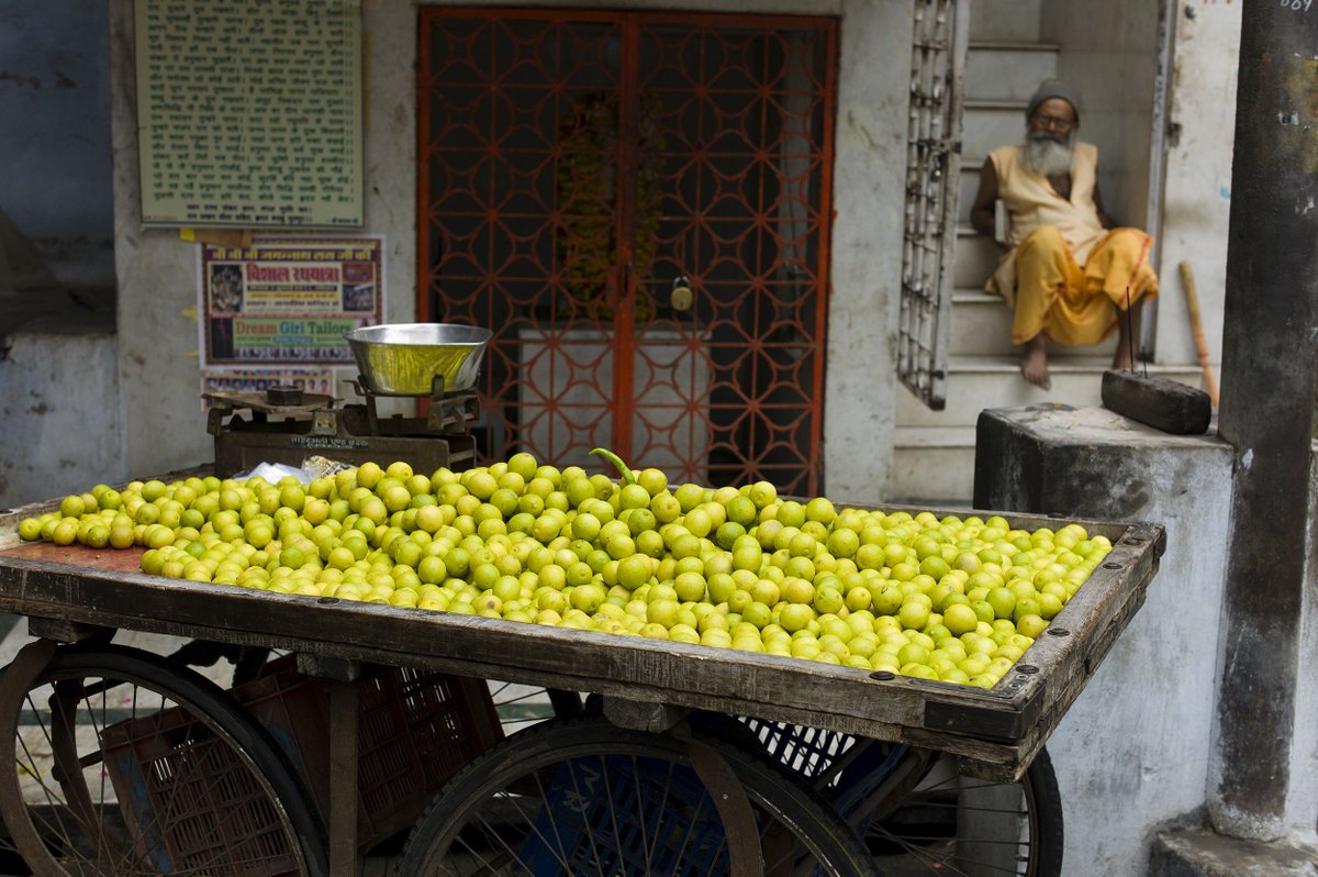 MarkTomaras's tweet photo. Lime seller, Udaipur

#india #udaipur #lime https://t.co/OwRnyjStuE
