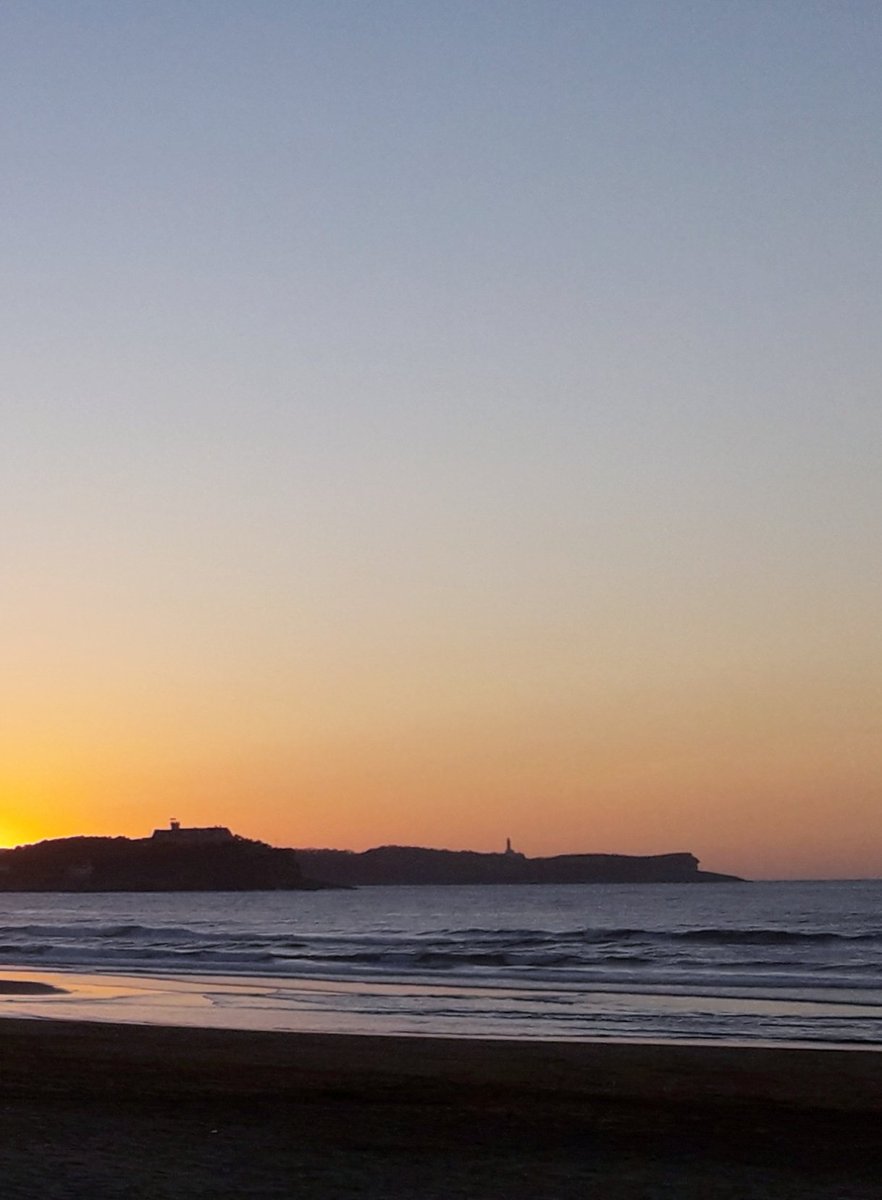 Adryc Manëllson tweet media